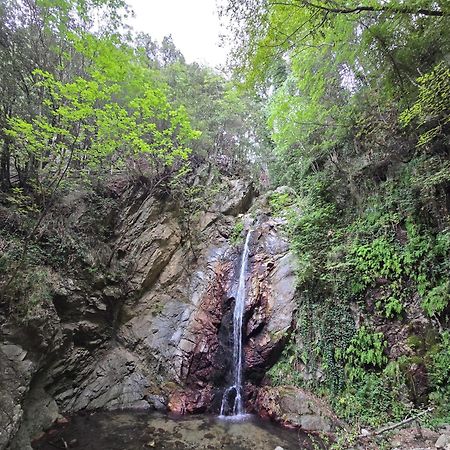 Village Camping Fico D'India Ovile la Marina Luaran gambar