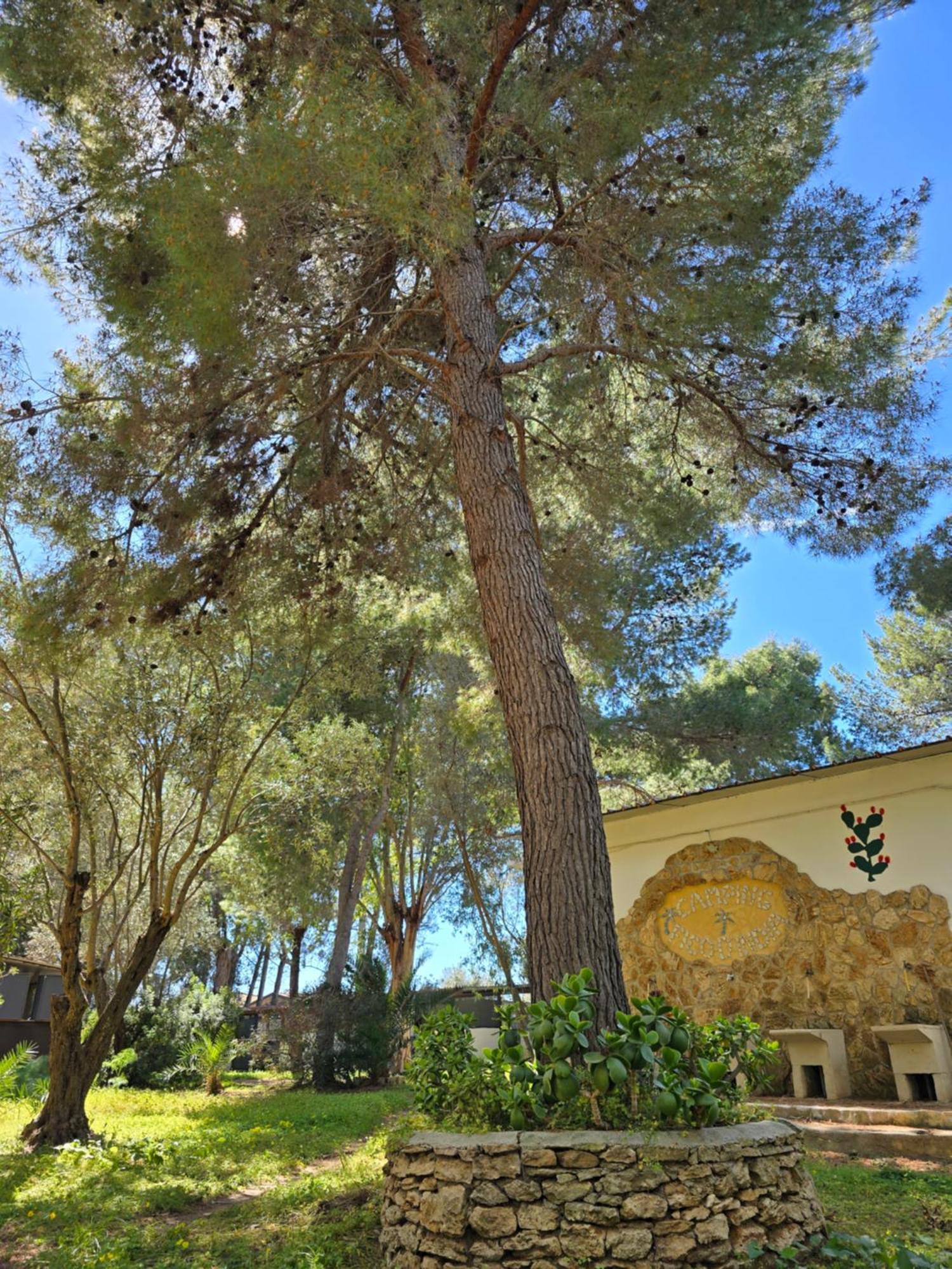 Village Camping Fico D'India Ovile la Marina Luaran gambar
