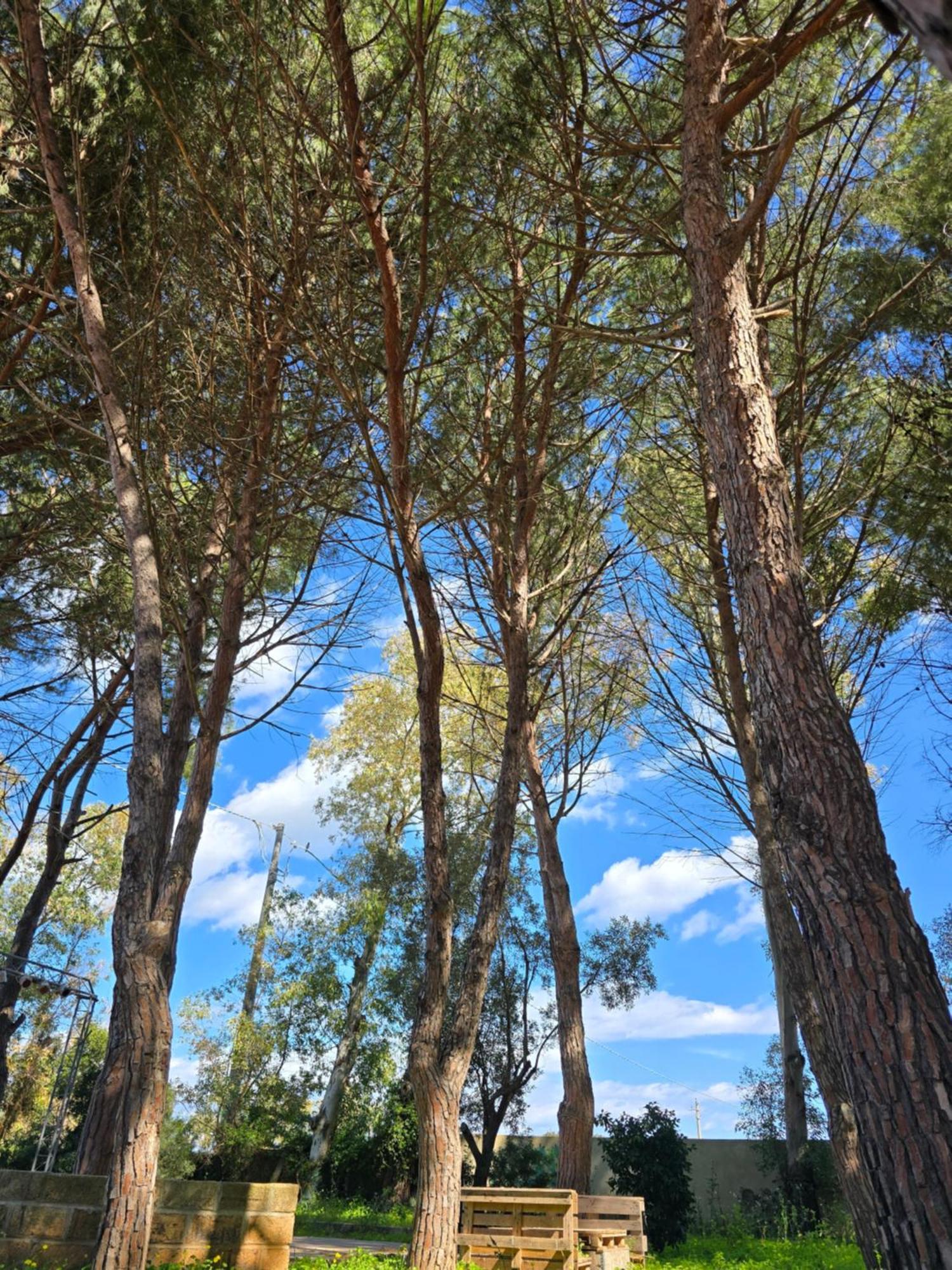 Village Camping Fico D'India Ovile la Marina Luaran gambar