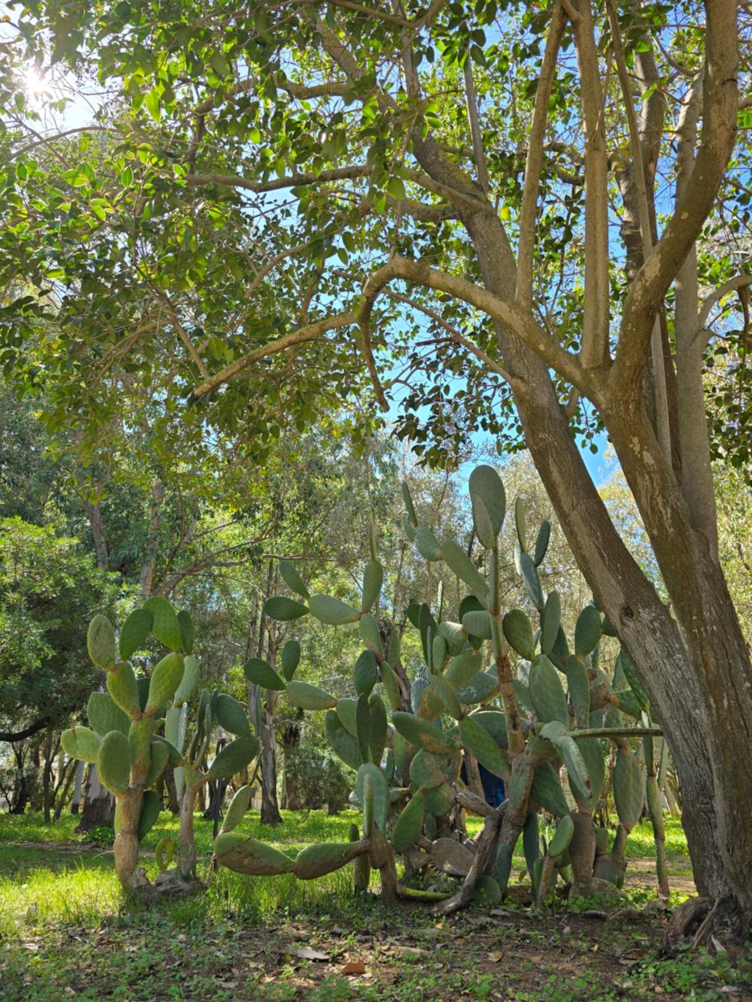 Village Camping Fico D'India Ovile la Marina Luaran gambar